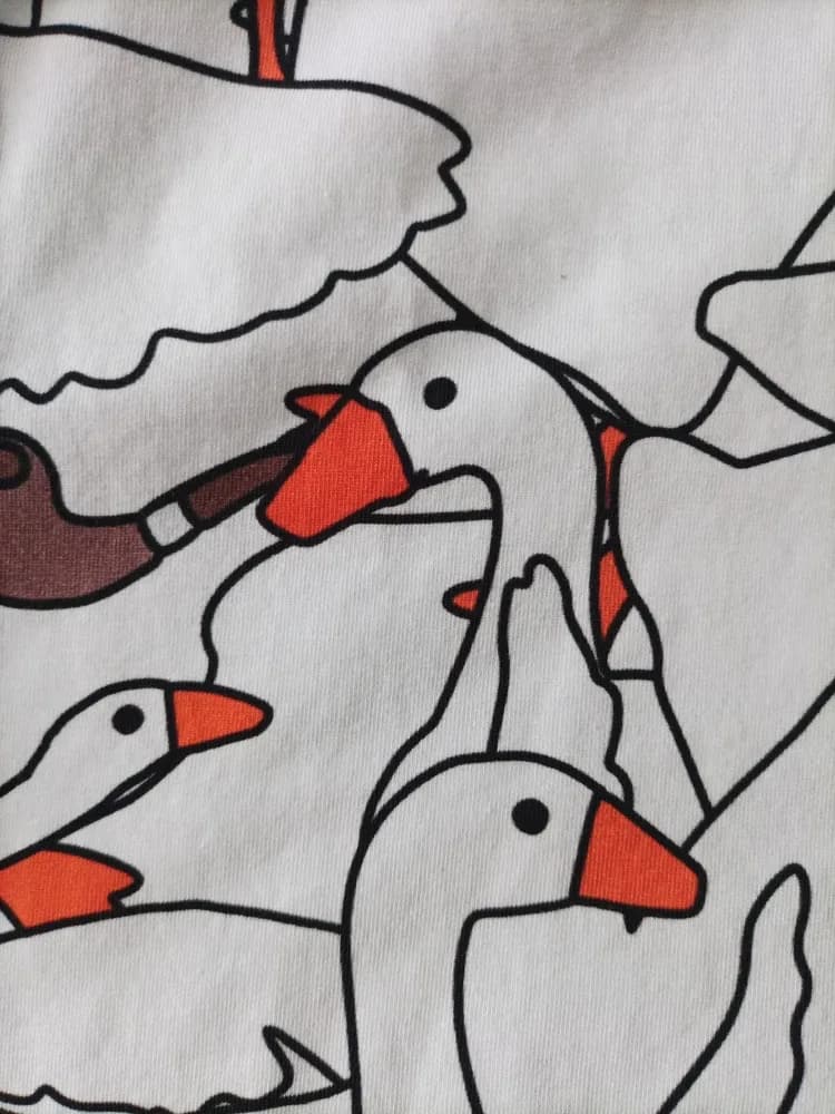 Фото-отзыв покупателя — Женское худи с принтом «Untitled Goose Game — Злой гусь», Lacotton