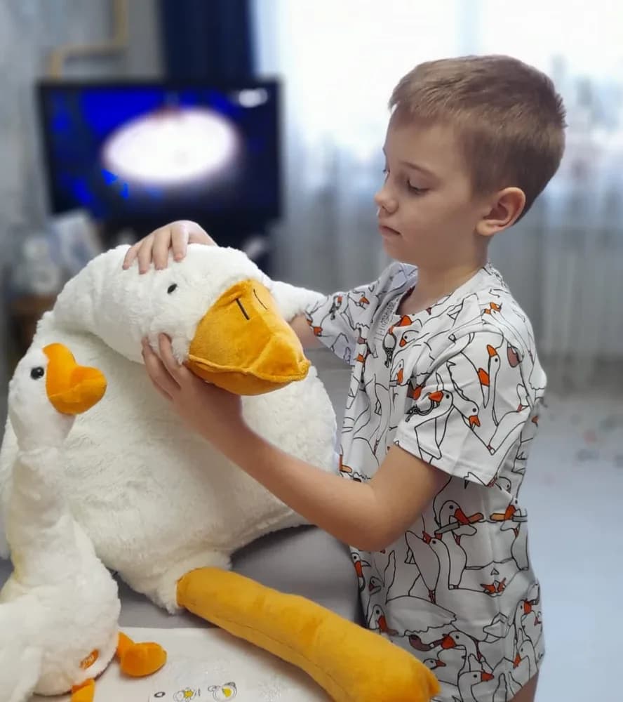 Фото-отзыв покупателя — Женское худи с принтом «Untitled Goose Game — Злой гусь», Lacotton