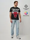 Мужская базовая футболка / B.C. Chicago Bulls