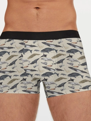 Мужские трусы боксеры / Whales pattern