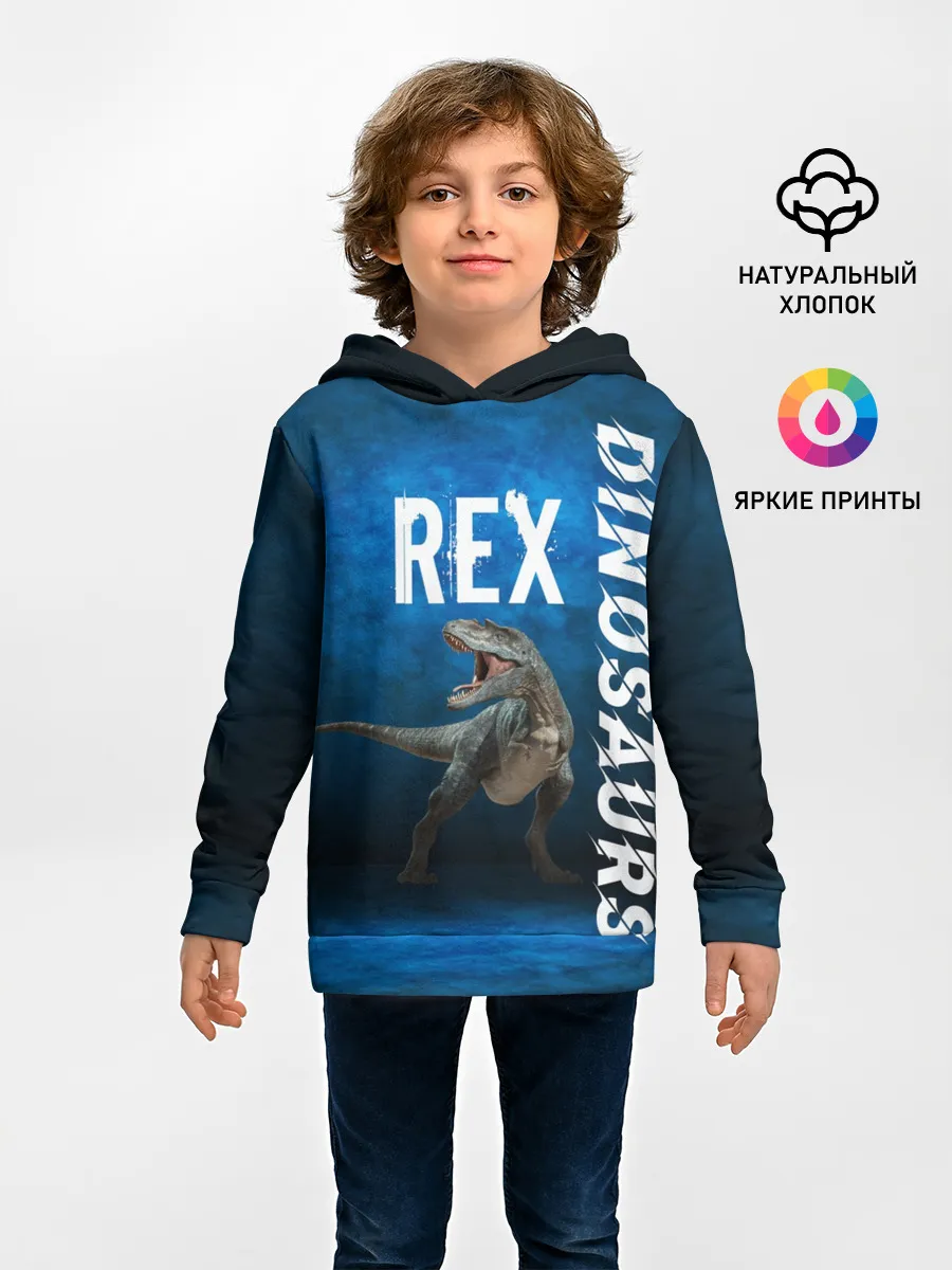 Детское худи / Dinosaurs Rex 3D