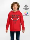 Детское худи / Chicago Bulls