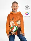 Детское худи / Волебольная команда из аниме HAIKYUU!!