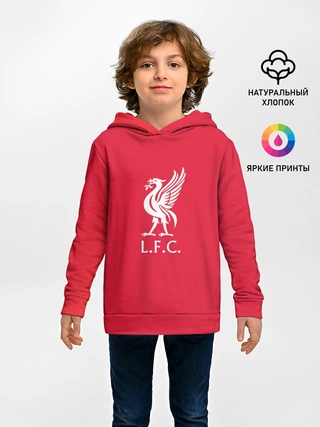 Детское худи / FC Liverpool