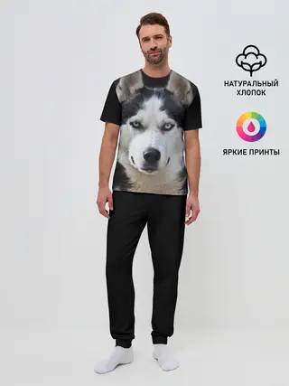 Мужская пижама с брюками / Хаски