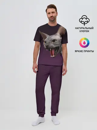 Мужская пижама с брюками / Сфинкс