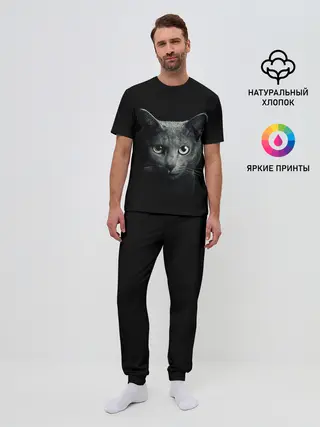 Мужская пижама с брюками / Кот