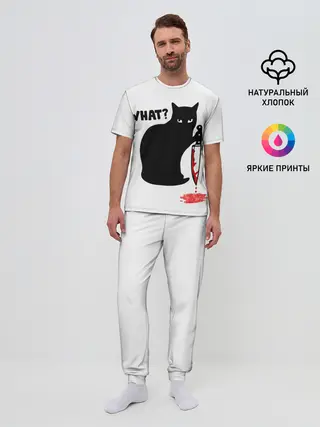Мужская пижама с брюками / What Cat