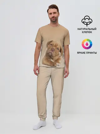 Мужская пижама с брюками / питбуль