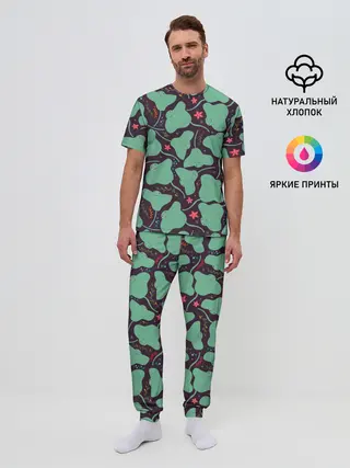 Мужская пижама с брюками / Скаты