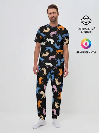 Мужская пижама с брюками / Британские кошки паттерн