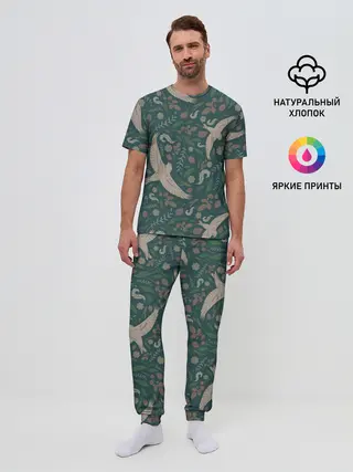 Мужская пижама с брюками / Ласточкина политра