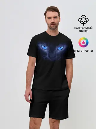 Мужской костюм с шортами / Кошка с голубыми глазами