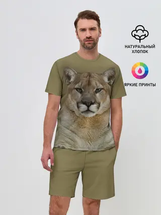 Мужской костюм с шортами / Пума