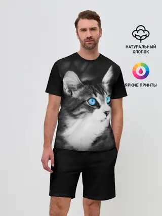 Мужской костюм с шортами / Кот