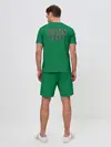 Мужской костюм с шортами / Boston Celtics