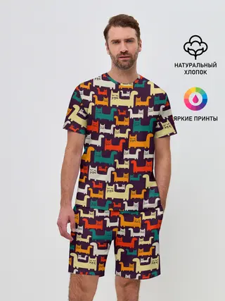 Мужской костюм с шортами / Найди чёрного кота