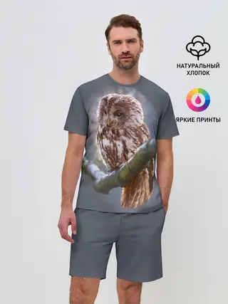 Мужской костюм с шортами / Сова