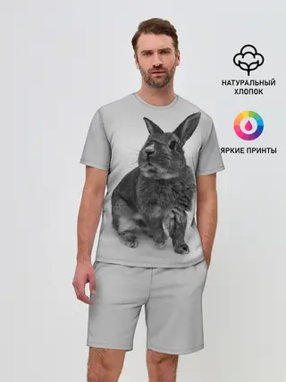 Мужской костюм с шортами / Кролик