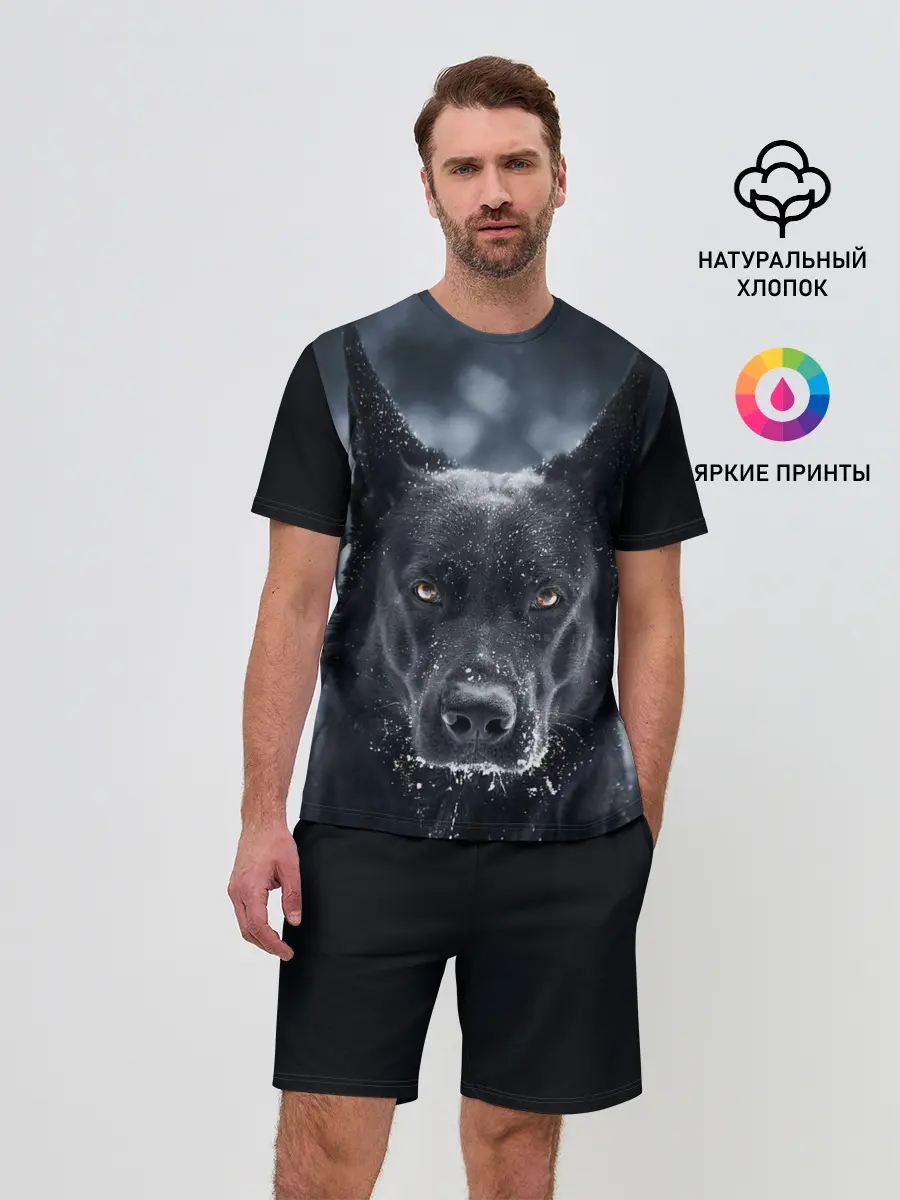 Мужской костюм с шортами / Dark Dog