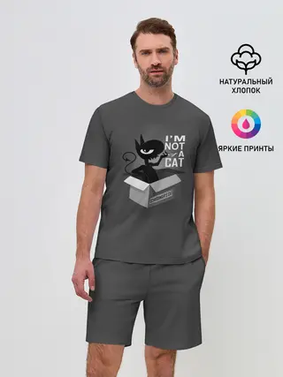 Мужской костюм с шортами / Disenchantment. Im not a Cat