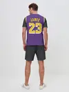 Мужской костюм с шортами / James LA Lakers 2019