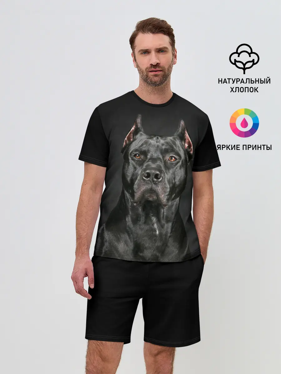 Мужской костюм с шортами / Питбуль