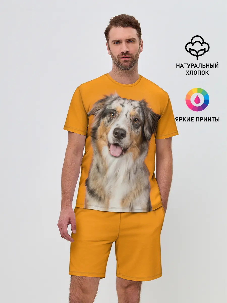 Мужской костюм с шортами / Австралийская овчарка