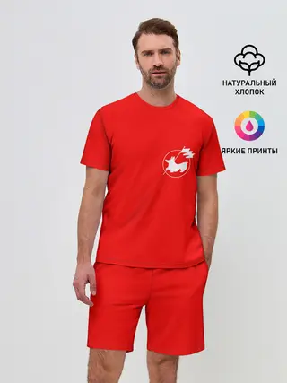 Мужской костюм с шортами / Корги