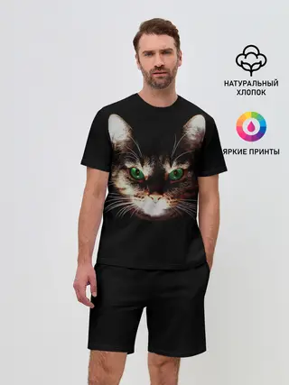 Мужской костюм с шортами / Зеленоглазый кот