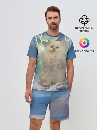 Мужской костюм с шортами / Грозовой Котик