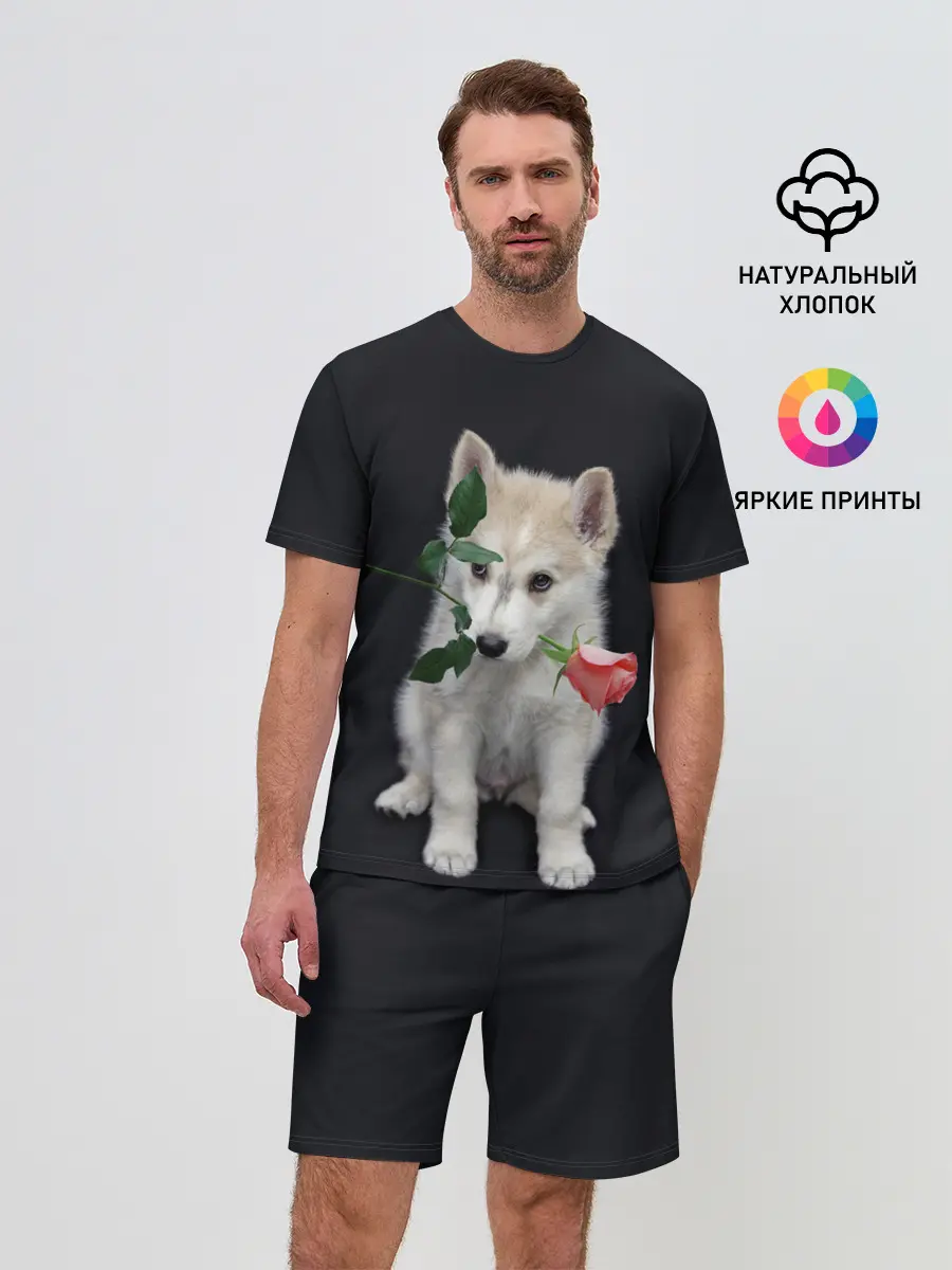 Мужской костюм с шортами / Щенок в подарок