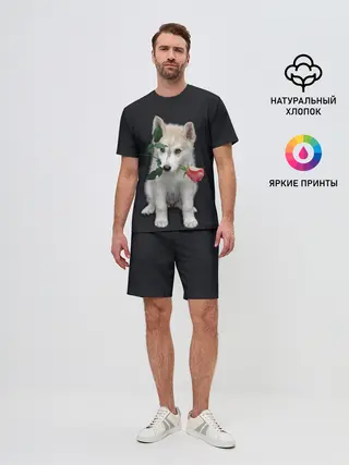 Мужской костюм с шортами / Щенок в подарок