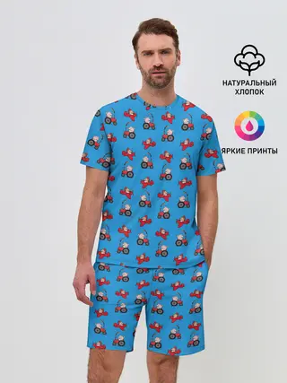 Мужской костюм с шортами / Поросенок Пётр