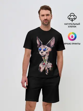 Мужской костюм с шортами / Сфинкс