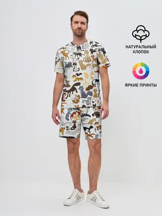 Мужской костюм с шортами / Котоколлаж 01