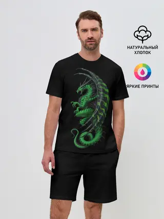 Мужской костюм с шортами / Green Dragon