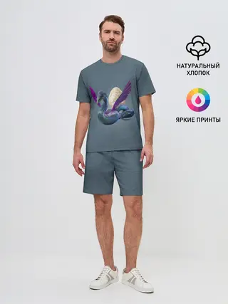 Мужской костюм с шортами / OCCAMY