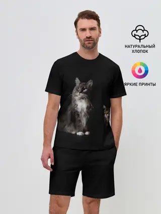 Мужской костюм с шортами / Котики