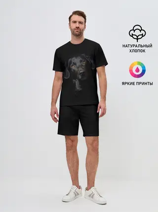 Мужской костюм с шортами / Пес