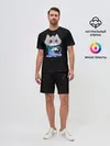 Мужской костюм с шортами / Котёнок в пледе
