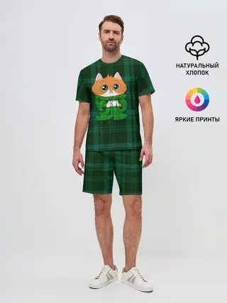 Мужской костюм с шортами / Котёнок в пледе