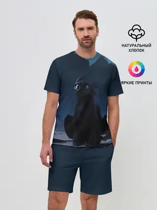 Мужской костюм с шортами / Беззубик:Ночная Фурия