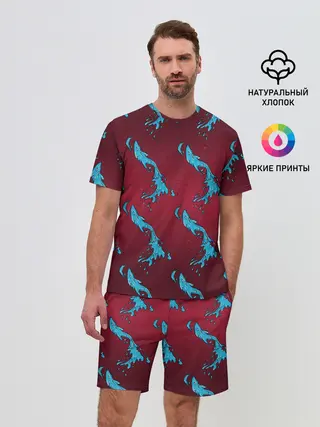 Мужской костюм с шортами / ДУХ ВОДЫ