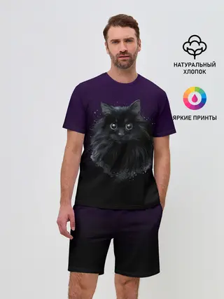 Мужской костюм с шортами / черный кот на фиолетовом фоне