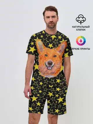 Мужской костюм с шортами / Corgi | Stars