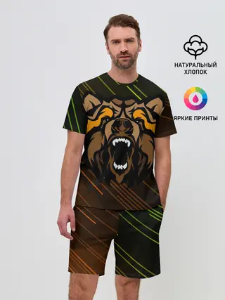 Мужской костюм с шортами / Angry Bear