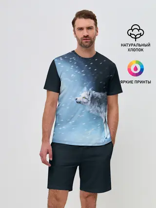 Мужской костюм с шортами / ВОЛК ЗИМА