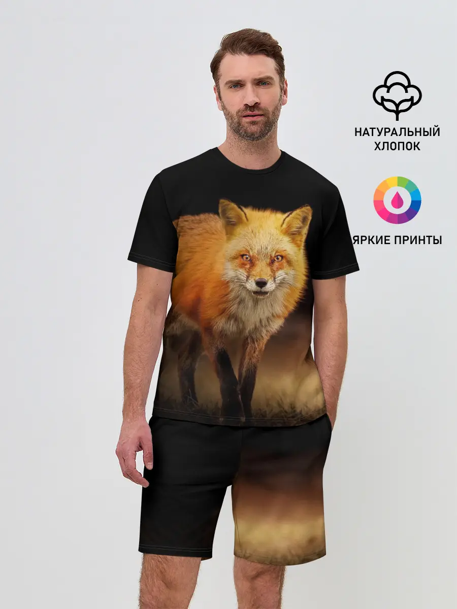 Мужской костюм с шортами / Лиса