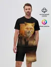 Мужской костюм с шортами / Лиса